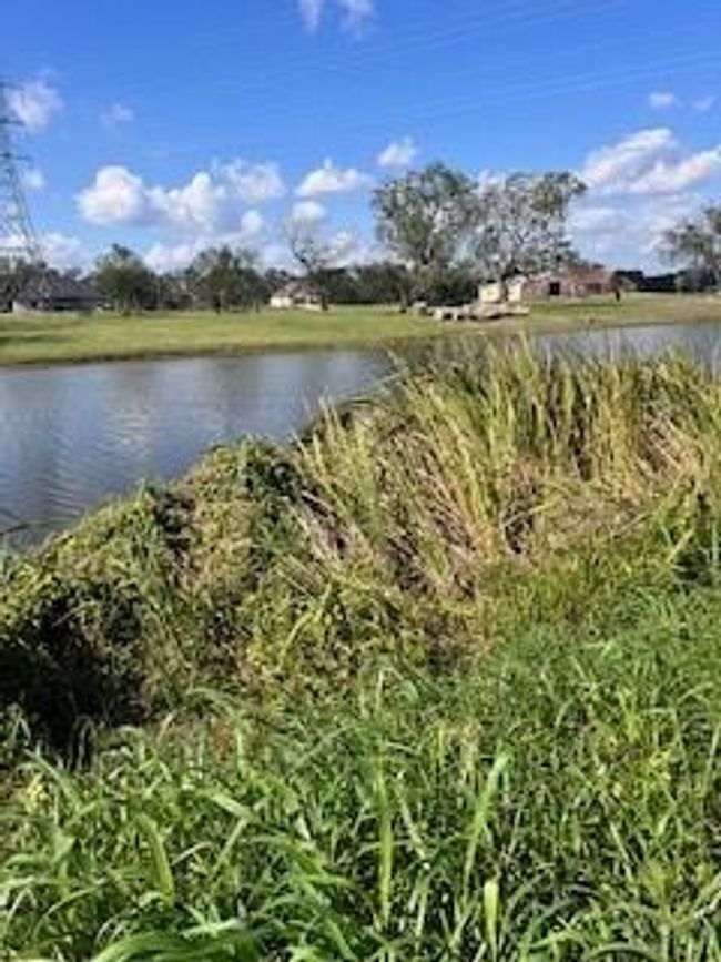 708 Winchester Trl, Home with 0 bedrooms, 0 bathrooms and null parking in Angleton TX | Image 14