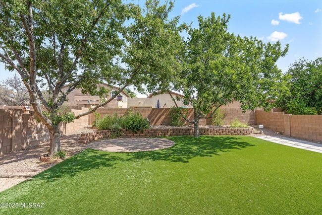 Backyard | Image 39