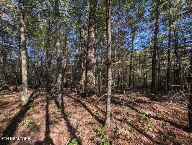 239 Sewell Dr, Home with 0 bedrooms, 0 bathrooms and null parking in Allardt TN | Image 7