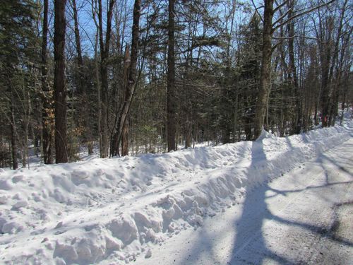 000F-320 Bourbon Run Rd, Jamaica, VT, 05343 | Card Image