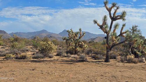 166 S Cattle Crossing Rd, Yucca, AZ, 86438 | Card Image