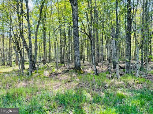 C476 Creekview Dr E, Gouldsboro, PA, 18424 | Card Image