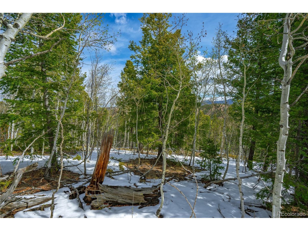 Land in Cripple Creek 5