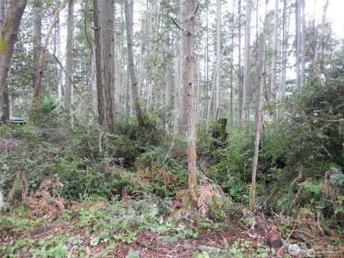 10424 107th Avenue Ct, Anderson Island, WA, 98303-8636 | Card Image