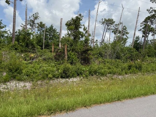 125 N Patrick St, House other with 1 bedrooms, 1 bathrooms and 4 parking in Port St. Joe FL | Image 47