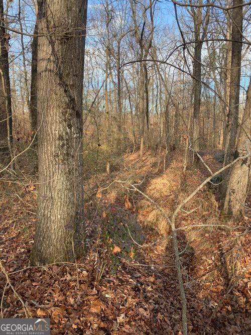 0 Tanglewood Dr, Royston, GA, 30662 | Card Image