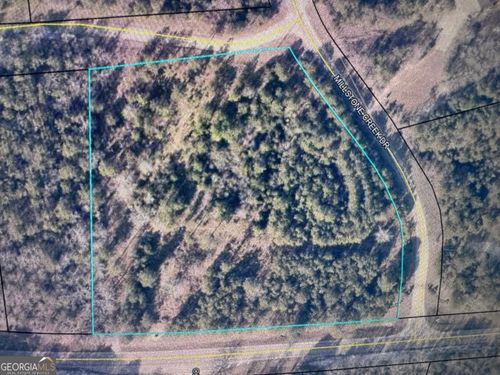 0 Millstone Creek Dr, Elberton, GA, 30635 | Card Image