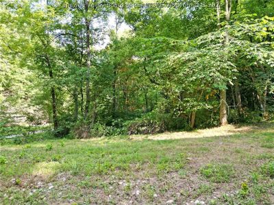 50A Island Branch Road, Home with 0 bedrooms, 0 bathrooms and null parking in Sissonville WV | Image 3