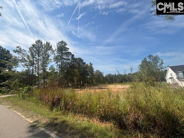 Land in Blythewood 3