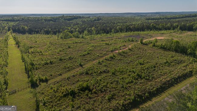 949 Marion Ripley Rd, Home with 0 bedrooms, 0 bathrooms and null parking in Dry Branch GA | Image 18