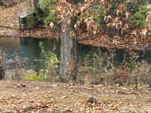 40 Lazy River Rd, Cloverdale, IN, 46120-8841 | Card Image