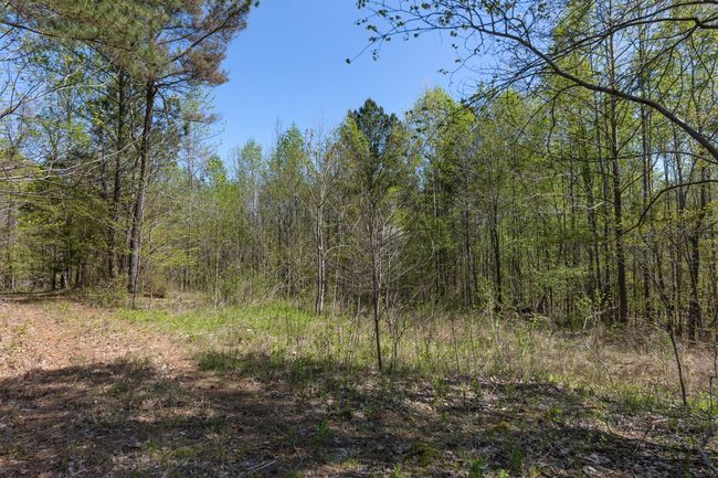 0 Muddy Branch Rd, Home with 0 bedrooms, 0 bathrooms and null parking in Clarksville TN | Image 4