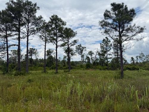 TBD Albert Hendry Rd, Greenville, FL, 32331 | Card Image