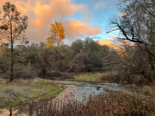 20229 Troost Trail, North San Juan, CA, 95960 | Card Image