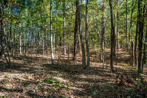 000 County Road 4105, Daingerfield, TX, 75638 | Card Image