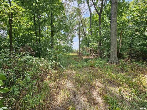 0000 N Cash Lane, Waltonville, IL, 62894 | Card Image