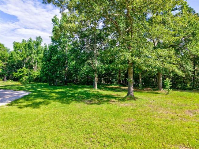 View of green lawn | Image 9