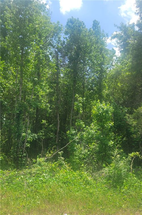 00 O B Brown Rd, Auburn, AL, 36830 | Card Image