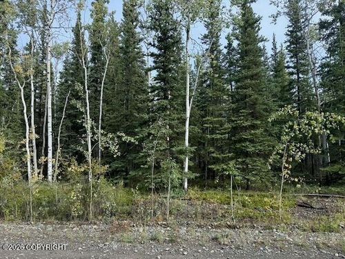 Lot 4 Butch Kuth Ave, Tok, AK, 99780 | Card Image