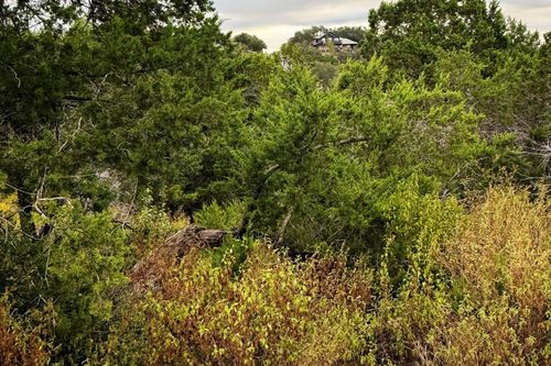 13910 Saskatchewan Dr, Austin, TX, 78734-3346 | Card Image