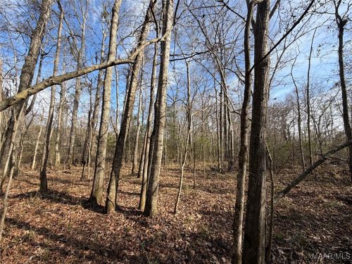 . Us Highway 31, Letohatchee, AL, 36047 | Card Image