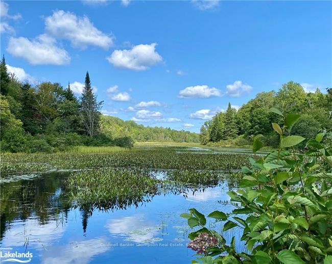 22-A Maple Dr, Home with 0 bedrooms, 0 bathrooms and null parking in Loring ON | Image 11