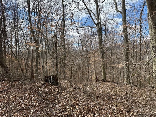 126 Northcutts Cove Rd, Home with 0 bedrooms, 0 bathrooms and null parking in Beersheba Springs TN | Image 8