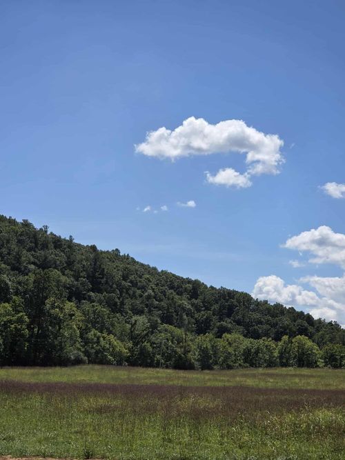 Lot 20 Haymakertown Rd, Troutville, VA, 24175-7225 | Card Image