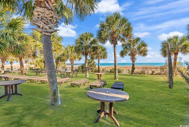 View of property's community featuring view of water and beach and a yard | Image 23