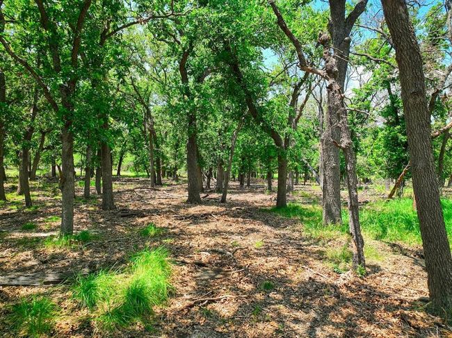 730 Us Highway 84 E, Home with 4 bedrooms, 2 bathrooms and 1 parking in Goldthwaite TX | Image 10
