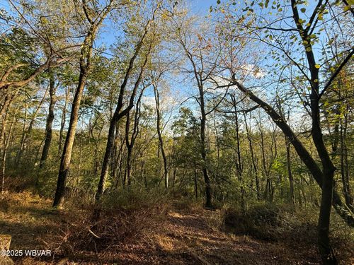 PARCEL 194 Ridge Rd, COGAN STATION, PA, 17728-9733 | Card Image