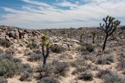 101 Hondo St, Pioneertown, CA, 92268 | Card Image