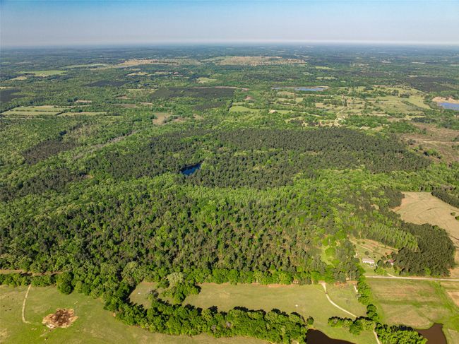 1 County Rd, Home with 0 bedrooms, 0 bathrooms and null parking in Leesburg TX | Image 28