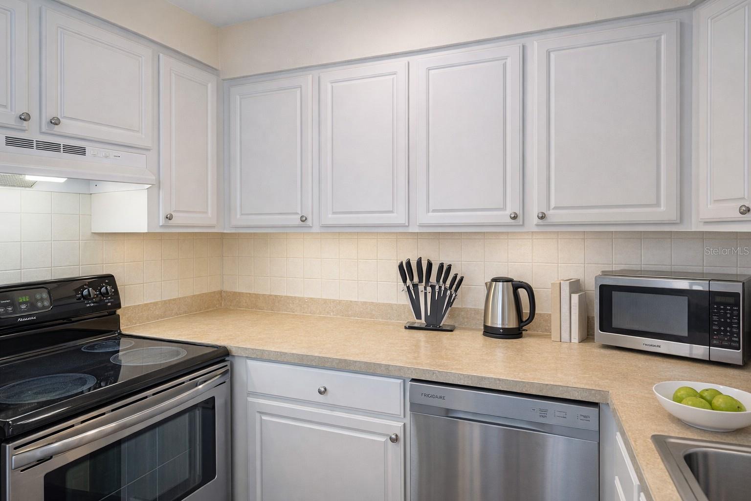 Residential Lease in TAMPA 4