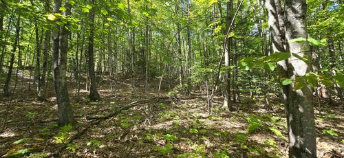 24-419-24 Meeting House Rd, Gilmanton, NH, 03237-5218 | Card Image