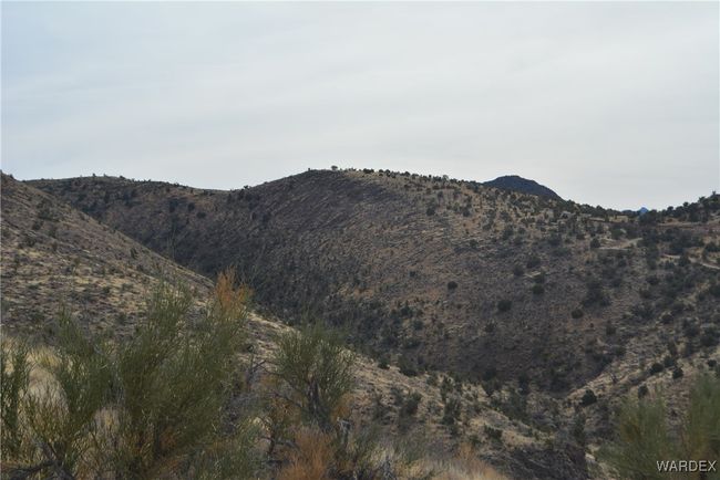 View | Image 7