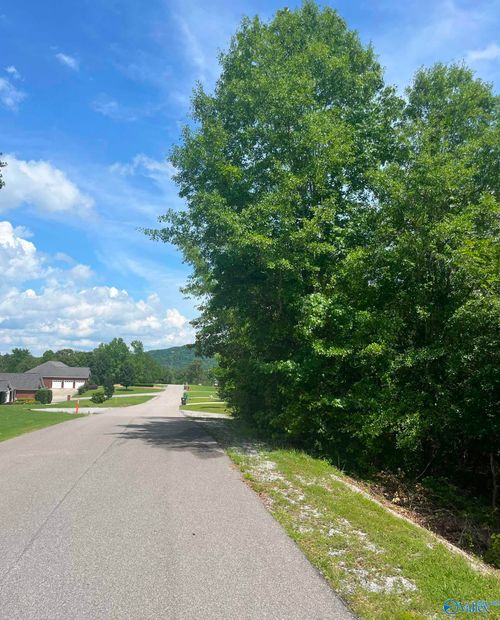 Lot 3 Meadow Creek Rd, Glencoe, AL, 35905-9422 | Card Image