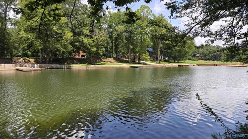 Lot 6 County Road 137, Cedar Bluff, AL, 35959 | Card Image