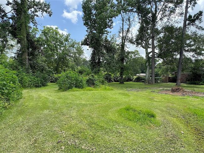 Separate lot next door. | Image 20