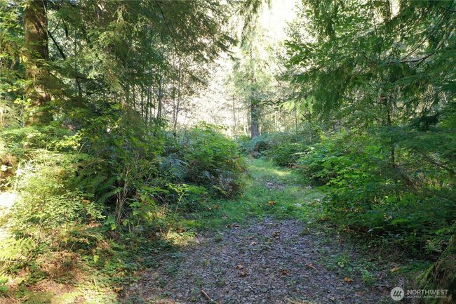 0 Index Galena Rd, Home with 0 bedrooms, 0 bathrooms and null parking in Index WA | Image 16
