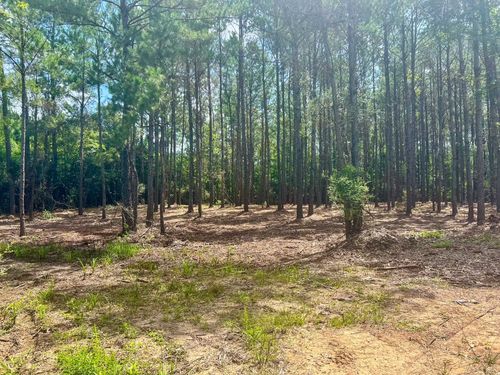 1465 County Road 716, Buna, TX, 77612 | Card Image
