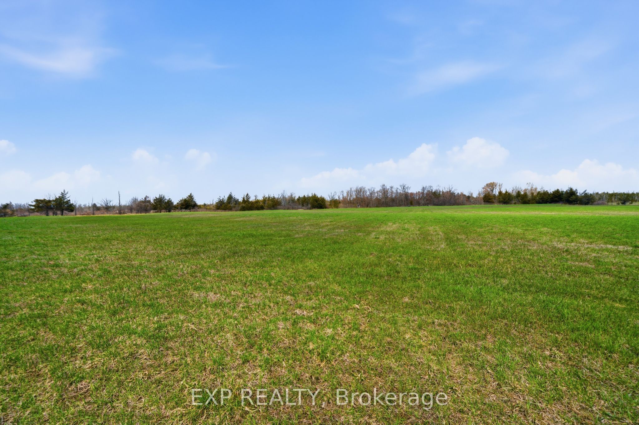 Residential in Prince Edward County 4