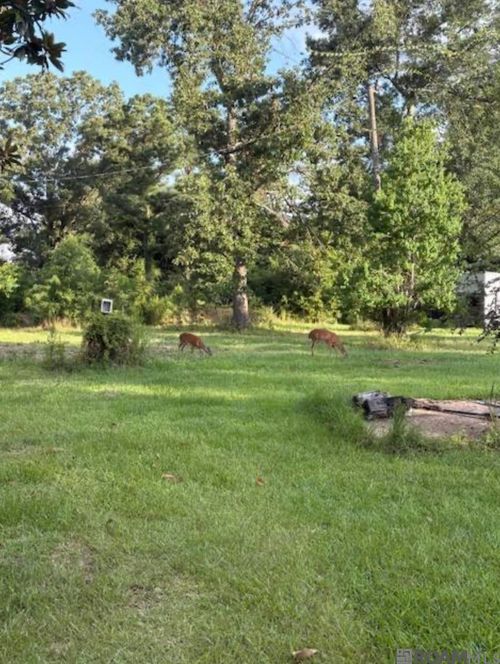 TBD Highway 22, Springfield, LA, 70462 | Card Image