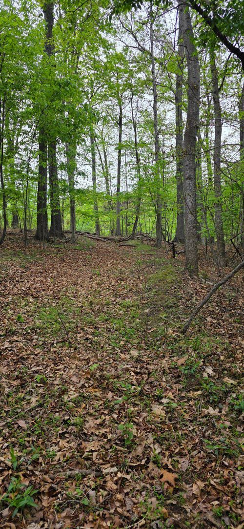 0 Audubon Rd, HEDGESVILLE, WV, 25427 | Card Image
