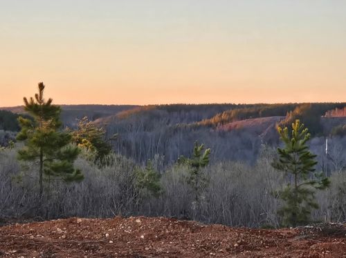 00 County Road 79, Waterloo, AL, 35677 | Card Image