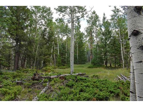 205 Timberline Dr, Guffey, CO, 80820 | Card Image