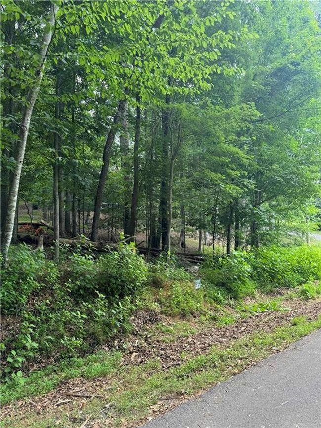 830 N Duffer Dr, Home with 0 bedrooms, 0 bathrooms and null parking in Jasper GA | Image 12