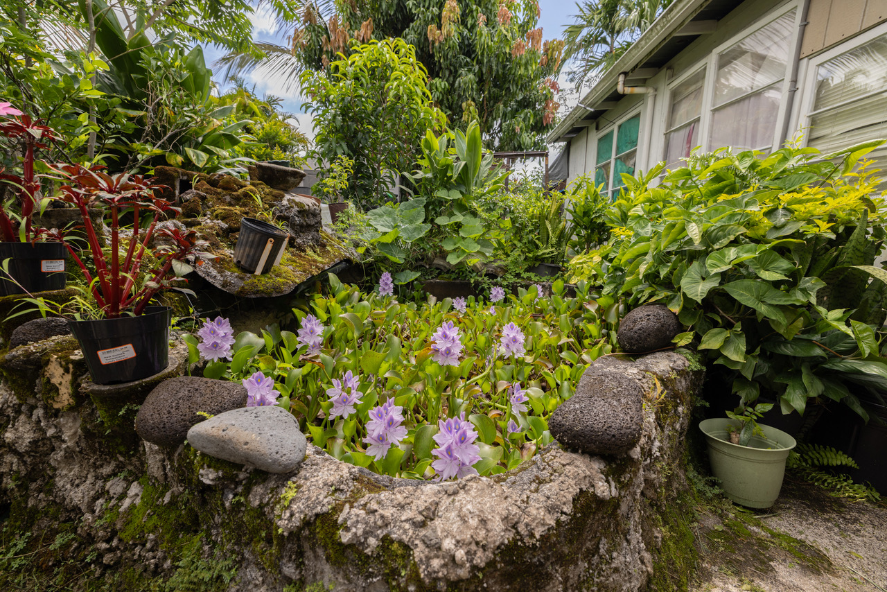 Residential in Hilo 3