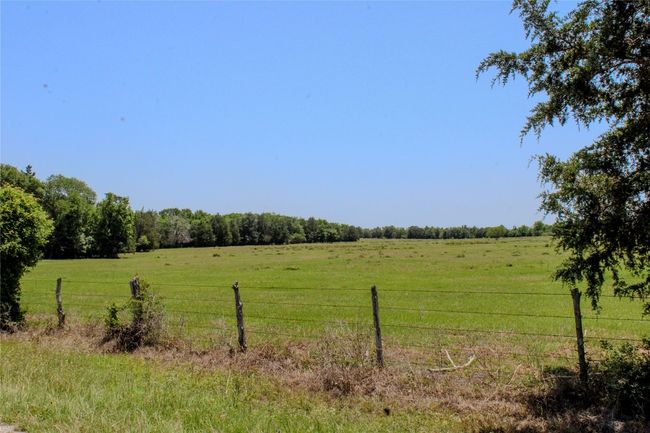 1197 Private Road 2071, Home with 4 bedrooms, 3 bathrooms and null parking in Giddings TX | Image 20