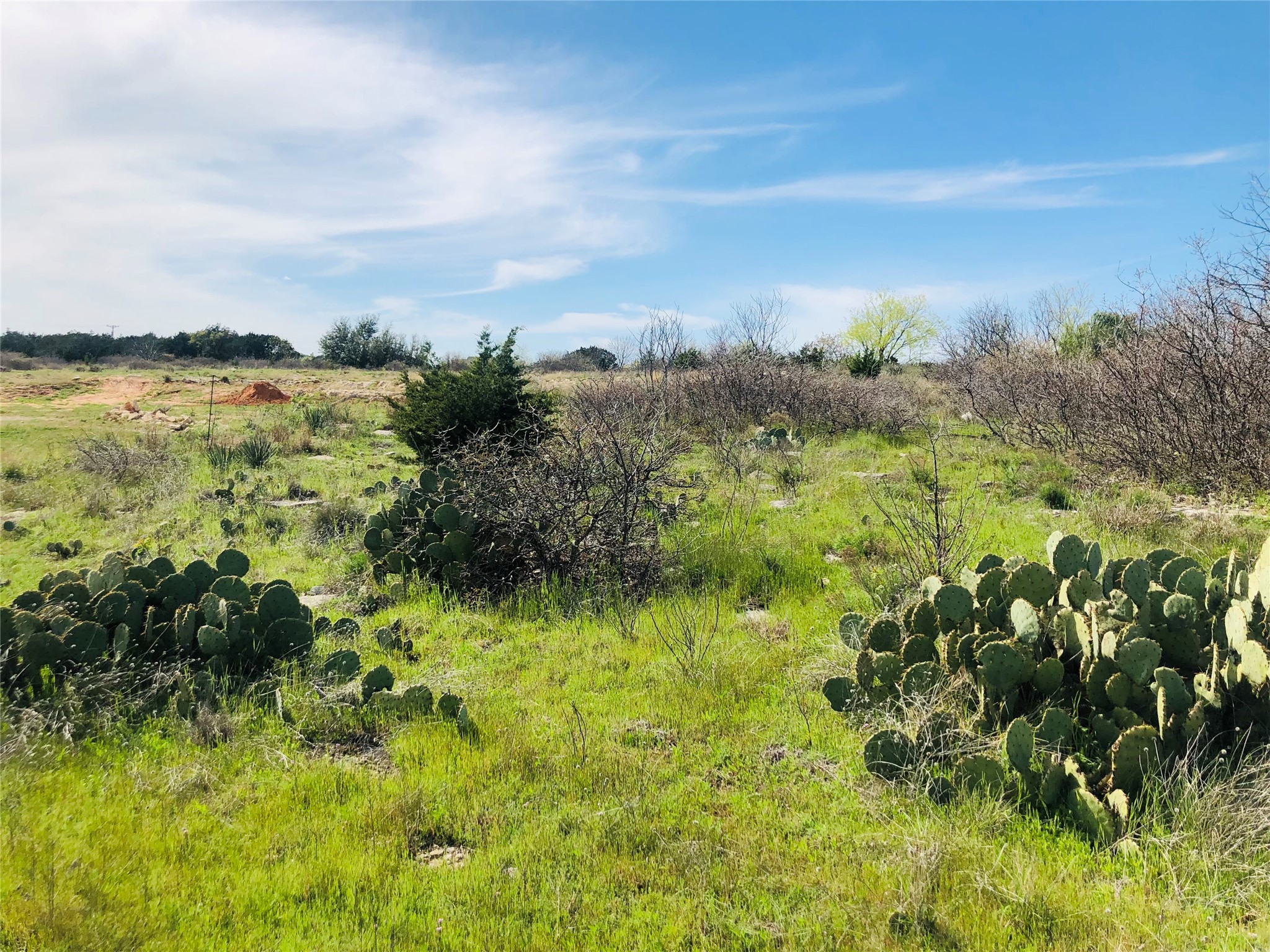Land in Possum Kingdom Lake 3